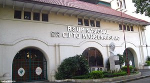 Mengetahui Otopsi Bocah, KPAI Datangi RSCM
