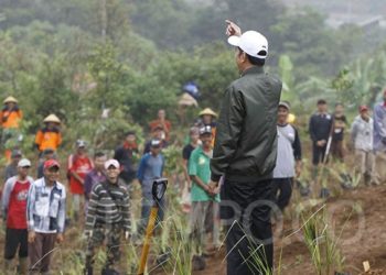 Presiden Jokowi menyapa warga saat meninjau lokasi penanaman pohon di bekas bencana longsor Desa Pasir Madang, Kecamatan Sukajaya, Kabupaten Bogor, Jawa Barat, Senin, 3 Februari 2020. Tanaman vetiver ini dapat mencegah banjir dan tanah longsor serta memperbaiki kualitas tanah di sekitarnya. TEMPO/Subekti.