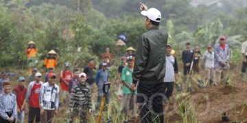 Presiden Jokowi menyapa warga saat meninjau lokasi penanaman pohon di bekas bencana longsor Desa Pasir Madang, Kecamatan Sukajaya, Kabupaten Bogor, Jawa Barat, Senin, 3 Februari 2020. Tanaman vetiver ini dapat mencegah banjir dan tanah longsor serta memperbaiki kualitas tanah di sekitarnya. TEMPO/Subekti.