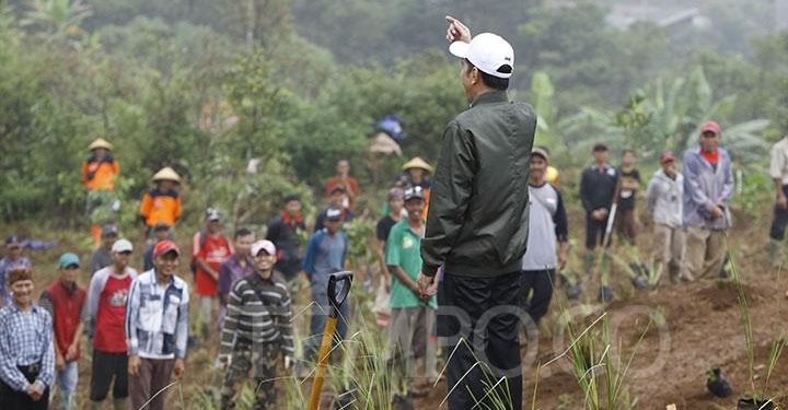Presiden Jokowi menyapa warga saat meninjau lokasi penanaman pohon di bekas bencana longsor Desa Pasir Madang, Kecamatan Sukajaya, Kabupaten Bogor, Jawa Barat, Senin, 3 Februari 2020. Tanaman vetiver ini dapat mencegah banjir dan tanah longsor serta memperbaiki kualitas tanah di sekitarnya. TEMPO/Subekti.