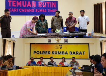 KPAI dan Kementerian HAM Perkuat Sinergi Pencegahan dan Penanganan TPKS Anak di Pulau Sumba 
